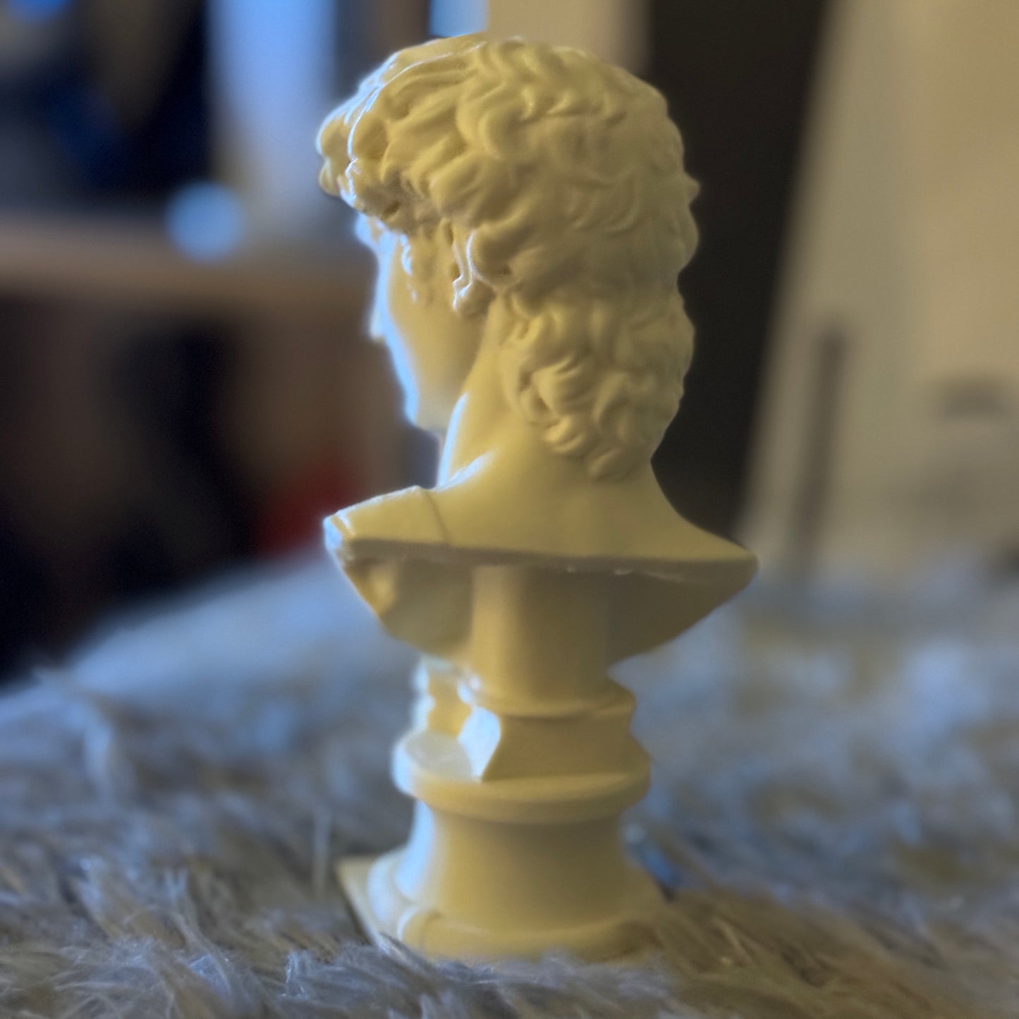 Eternal Elegance: Michelangelo's David Bust