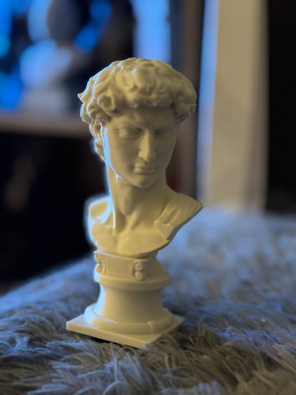 Eternal Elegance: Michelangelo's David Bust