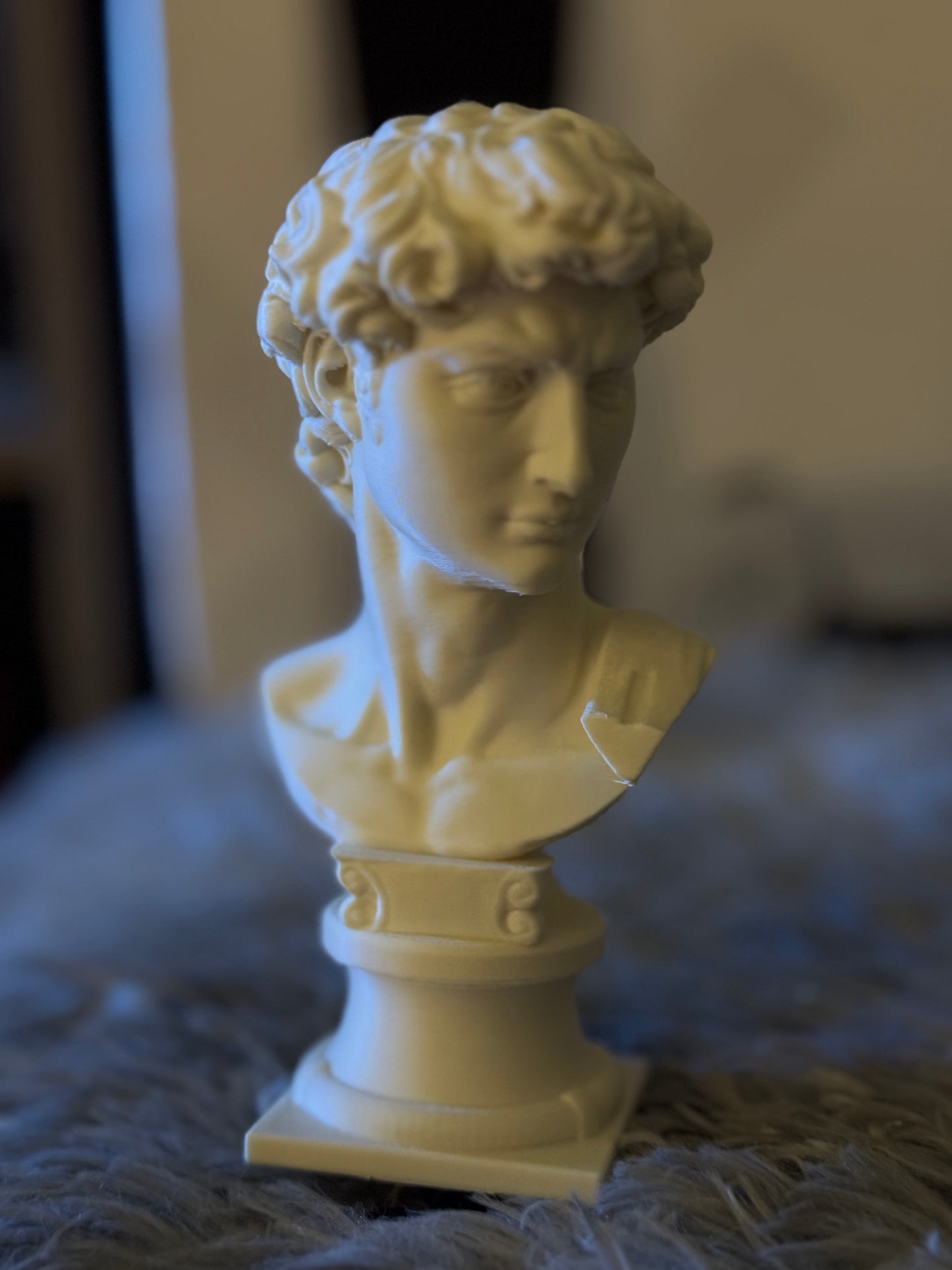 Eternal Elegance: Michelangelo's David Bust