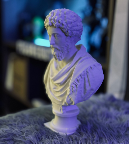 Imperial Elegance: Marcus Aurelius Bust