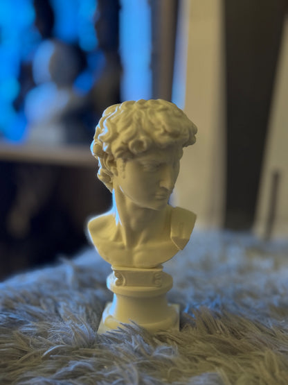 Eternal Elegance: Michelangelo's David Bust