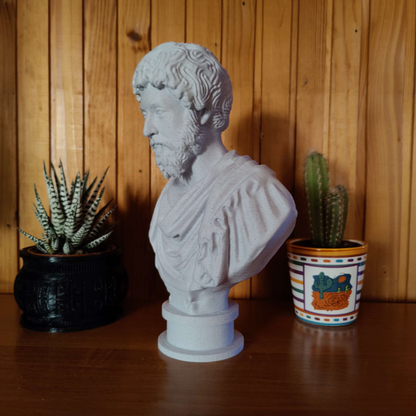 Imperial Elegance: Marcus Aurelius Bust