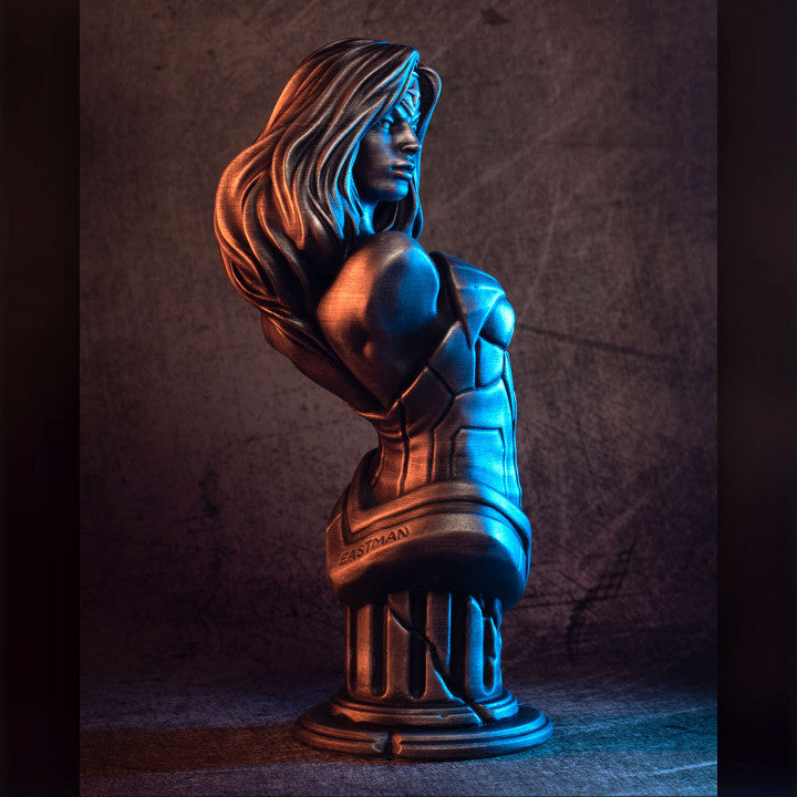 Wonder Women Bust