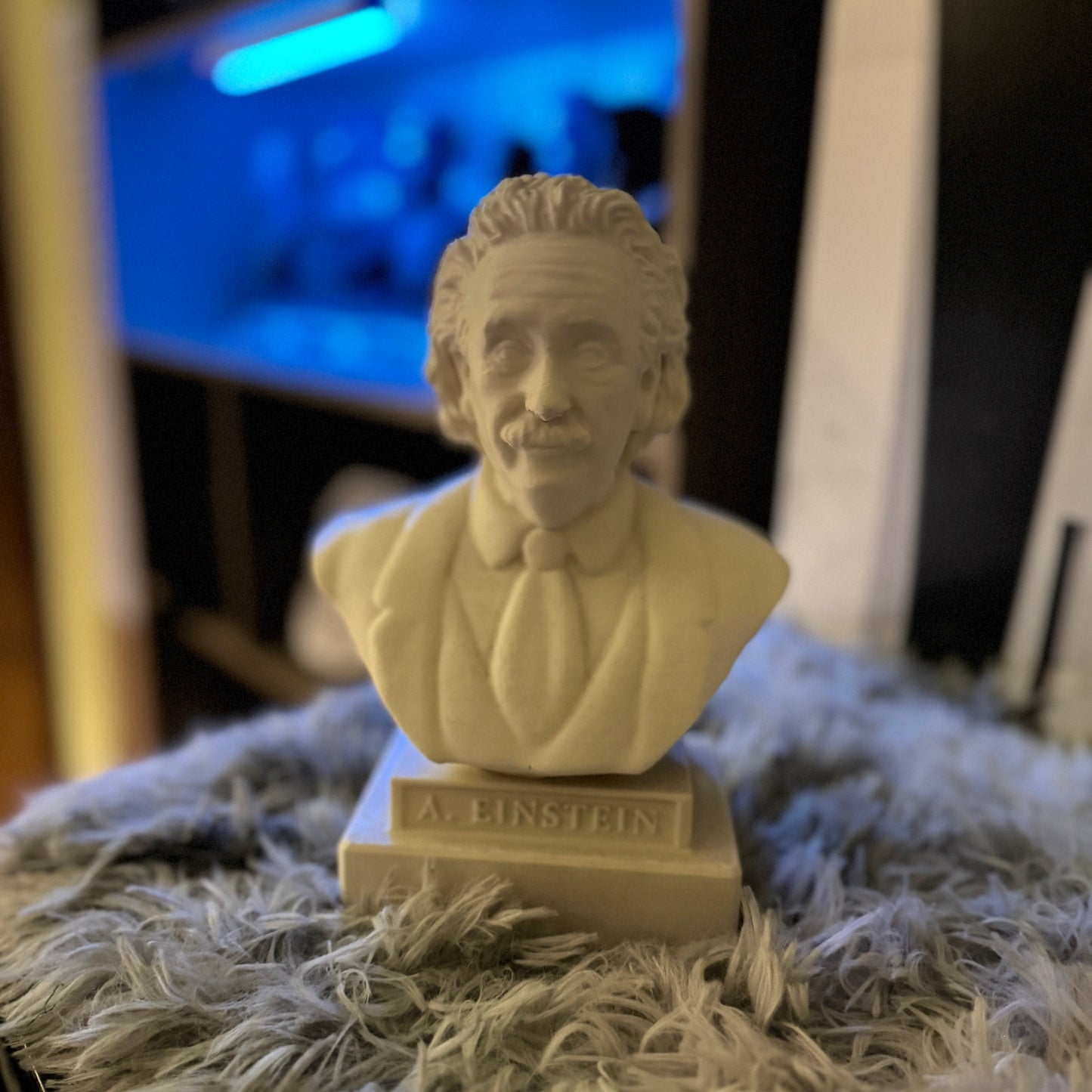 Albert Einestein Bust - Bust